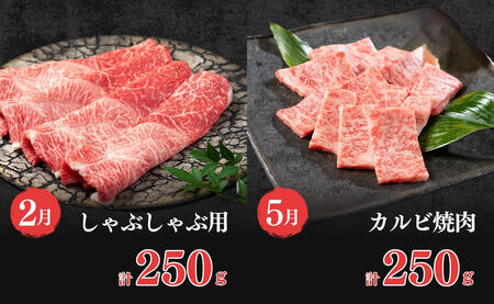 【口コミの良いお肉を集めました♪】人気品を厳選！お手軽 佐賀牛定期便 通年4回【有田まちづくり公社】佐賀牛 牛肉 黒毛和牛 極上の佐賀牛 厳選 お肉 おにく ローストビーフ カルビ焼肉 しゃぶしゃぶ 