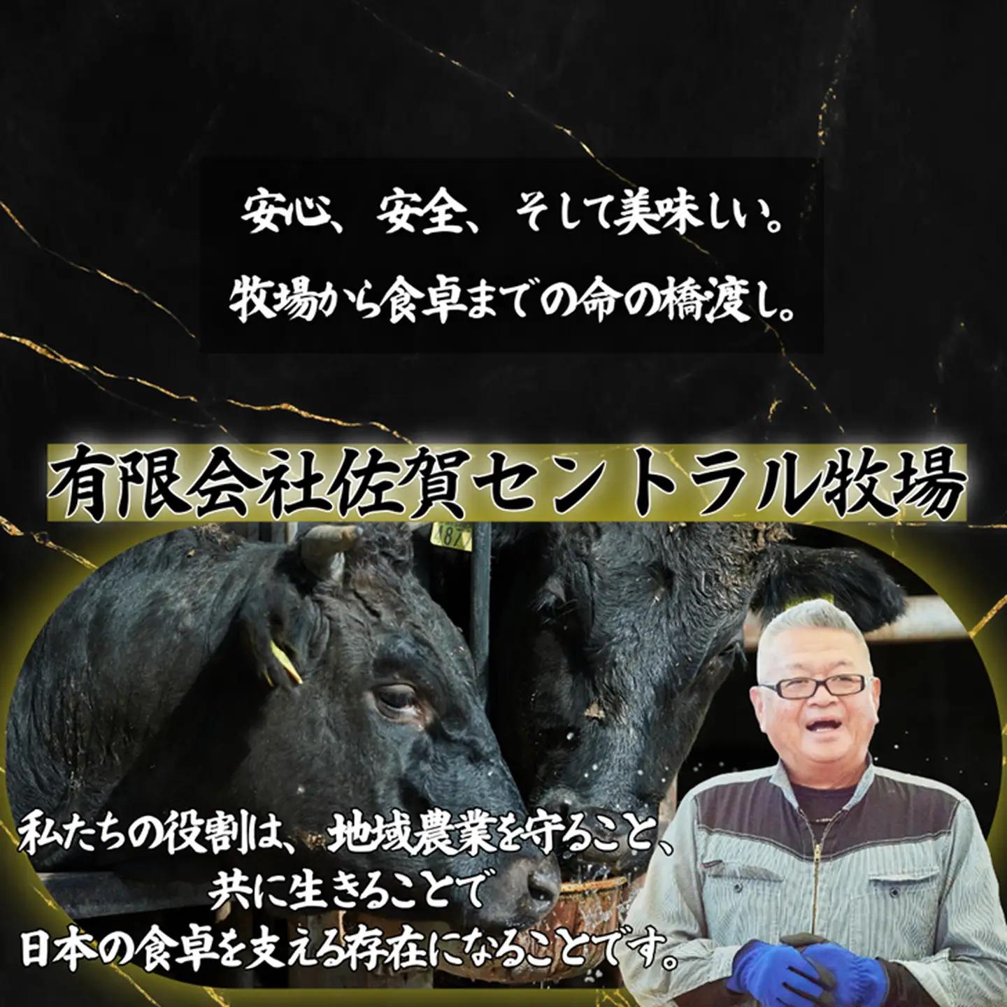 【定期便12回】【牧場直送】佐賀牛ハンバーグステーキ 8個 ：C232-027