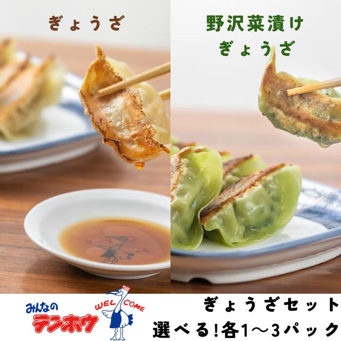 【ふるさと納税】ぎょうざ食べ比べセット ぎょうざ・野沢菜漬けぎょうざセット[パック入り/冷凍生] 全3種 各1パック[合計2パック]・各2パック[合計4パック]・各3パック[合計6パック]/ テンホウ ぎょうざ ギョウザ 餃子 食べ比べ 冷凍 信州 長野県 諏訪市 諏訪 【21-383940】