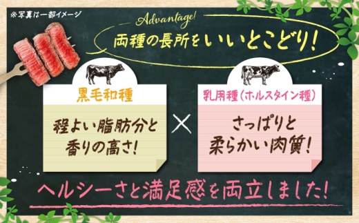 佐賀県産 しろいし牛 手ごねハンバーグ 5個（1個120g） / 牧場直送 国産 牛肉 ハンバーグ おかず / 佐賀県 / 有限会社佐賀セントラル牧場 [41ASAA323]