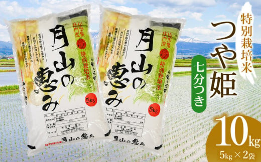 【令和6年産 新米】  特別栽培米 つや姫 七分づき 10kg（5kg×2袋）山形県鶴岡市産　米工房 月山