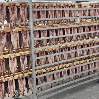 ふるさと納税 佐呂間町 ほっけ開き5枚(200g前後×5枚) |  | 01