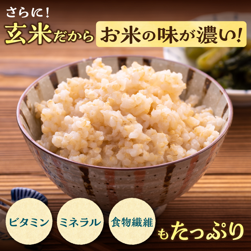 【定期便全6回】令和7年産 川越さんちの おぼろづき 玄米 5kg（5kg×1袋）毎月1回お届け 雨竜産 おぼろづき 玄米  定期便 5kg お米 おにぎり お弁当 お取り寄せ 北海道 雨竜町