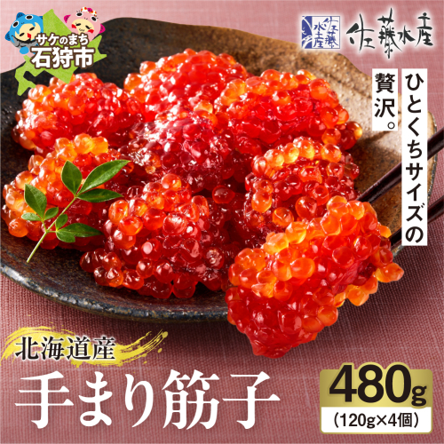 佐藤水産 手まり筋子 480g (120g×4)