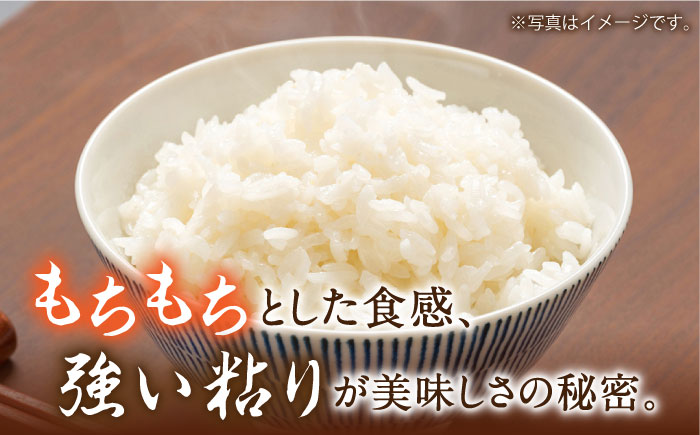 【12回定期便】 長崎県産 精米 にこまる 2kg 総計 24kg   / ふっくら 笑顔 お米 米 / 南島原市 / 大松屋商店 [SDR012]