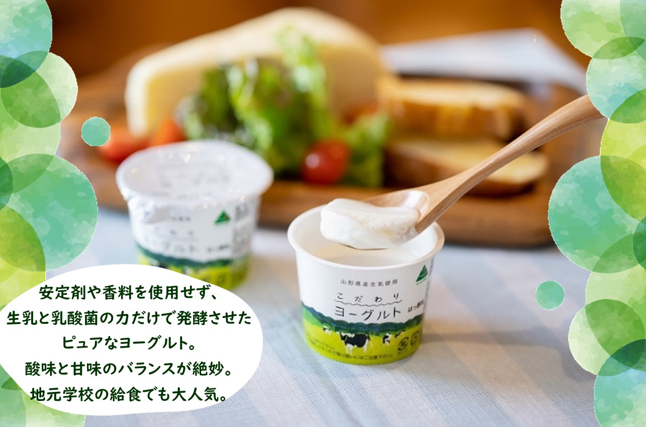 放牧酪農牛乳とヨーグルトの詰合せ