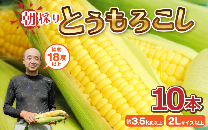 
            もろこしやの朝取れ とうもろこし 10本 (1本：2Lサイズ以上 370g～450g) 『メロンより甘い』 ～驚きの糖度18度以上！～ (わくわくコーン) 【 とうもろこしトウモロコシ コーン イエローコーン スイートコーン 黄甘コーン 朝取れ 旬の味覚 朝採れ 新鮮  野菜 甘い バーベキュー BBQ アウトドア キャンプ 産地直送】 [A-7102]
          