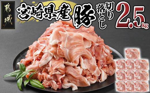 
                  宮崎県産豚切り落とし2.5kg(真空)〔84-023-2500g〕_(都城市) 豚肉 切り落とし (250g×10) 小分け 真空 宮崎県産豚2.5キロ 炒めもの 鍋物 しゃぶしゃぶ 切落し きりおとし
                