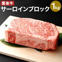 【ふるさと納税】おおいた 豊後牛 サーロイン ブロック 1kg 肉 牛 和牛 豊後牛 銘柄牛 国産牛 黒毛和種 黒毛和牛 和牛 かたまり肉 ステーキ ローストビーフ 冷凍 国産 九州産 竹田市 大分県産 送料無料