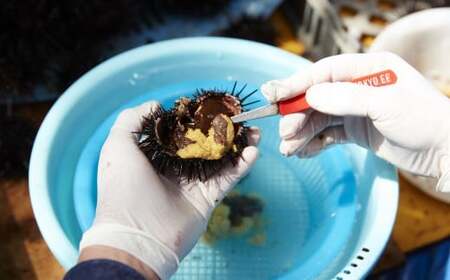 【濃厚！】 三陸産 焼きウニ 2個 ギフト 人気 ウニ