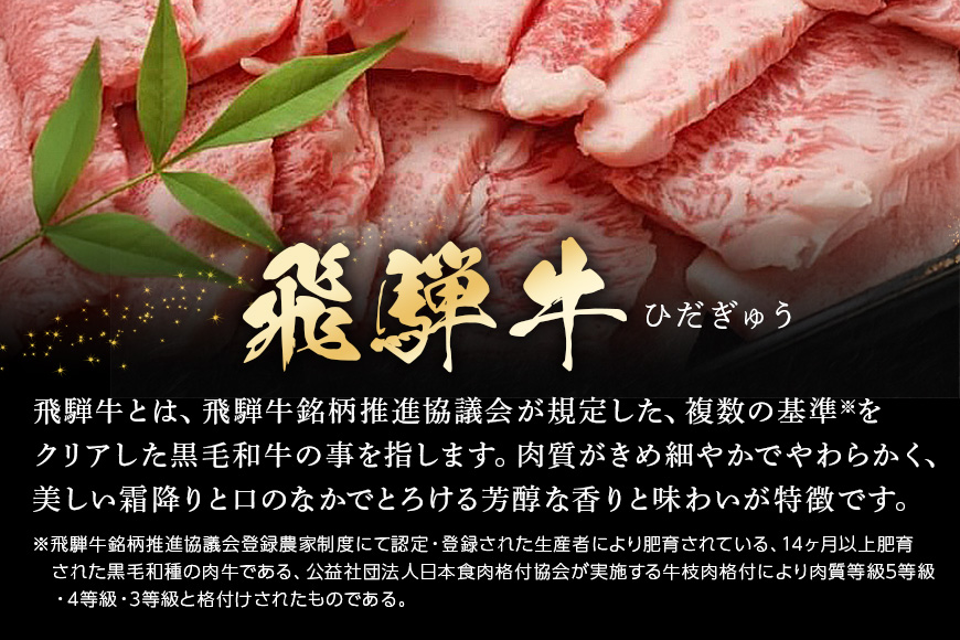 【冷蔵配送】飛騨牛・ボーノポーク・ウインナー 焼肉用食べ比べセット 2～3人前【1.65kg】