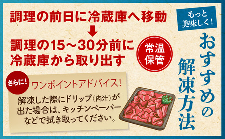 宮崎牛 切り落とし (500g×2) 合計1kg