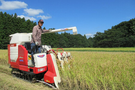 【毎月定期便】標高200mで育てた棚田米|新潟県上越市中郷産・従来種コシヒカリ精米5kg全6回