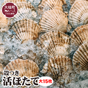 朝獲れ 活ホタテ (大15枚) セット【08】 生食用 殻付き｜新鮮 大粒 活 ほたて 大粒ほたて 厳選 三陸産 海鮮 肉厚 甘い 帆立 刺身 冷蔵 人気 魚介 魚介類 貝 貝類 岩手県大槌町