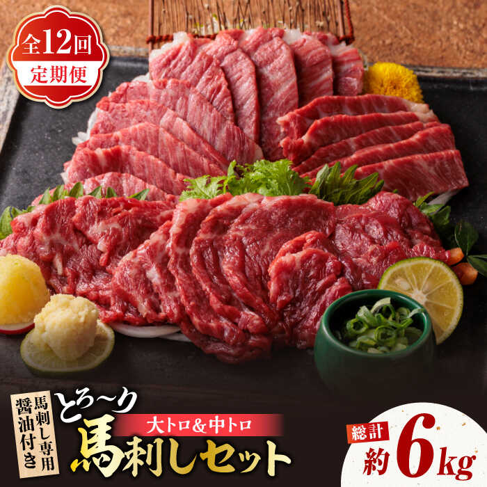 【ふるさと納税】【12回定期便】サシが決め手の「トロ〜り 馬刺し セット 」 中トロ馬刺し 約50g×6 大トロ馬刺し 約50g×4 計500g 国産 馬刺し 熊本 霜降り 大トロ 中トロ 専用醤油付き 食べ比べ セット 冷凍 小分け おつまみ ヘルシー【株式会社 利他フーズ】[ZBK018]