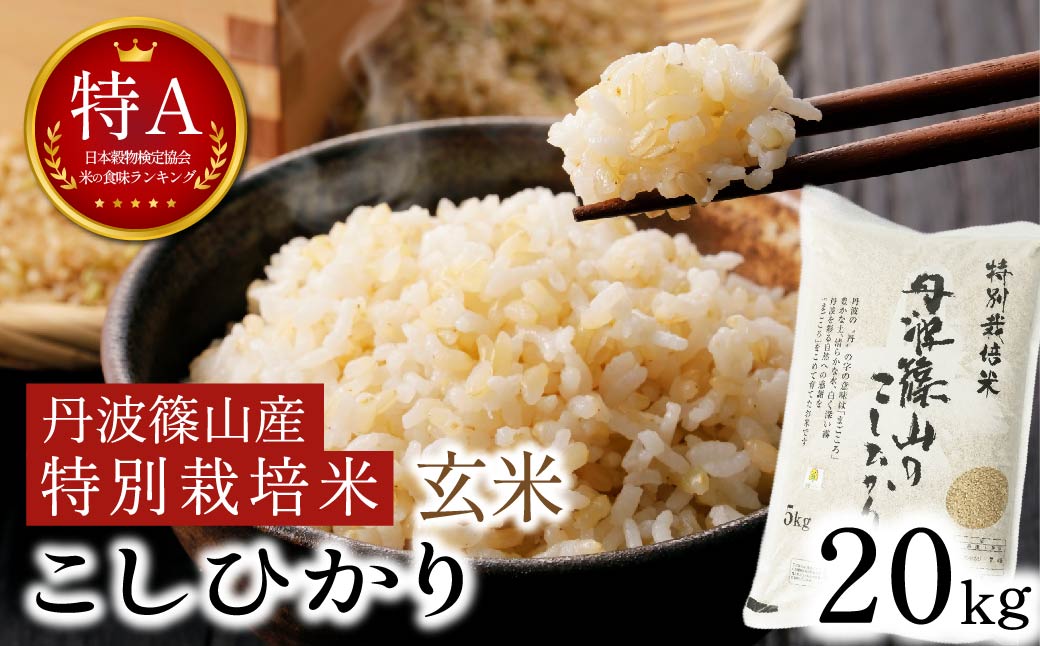 令和7年産 丹波篠山産 特Aランク 特別栽培米 こしひかり 玄米20kg
