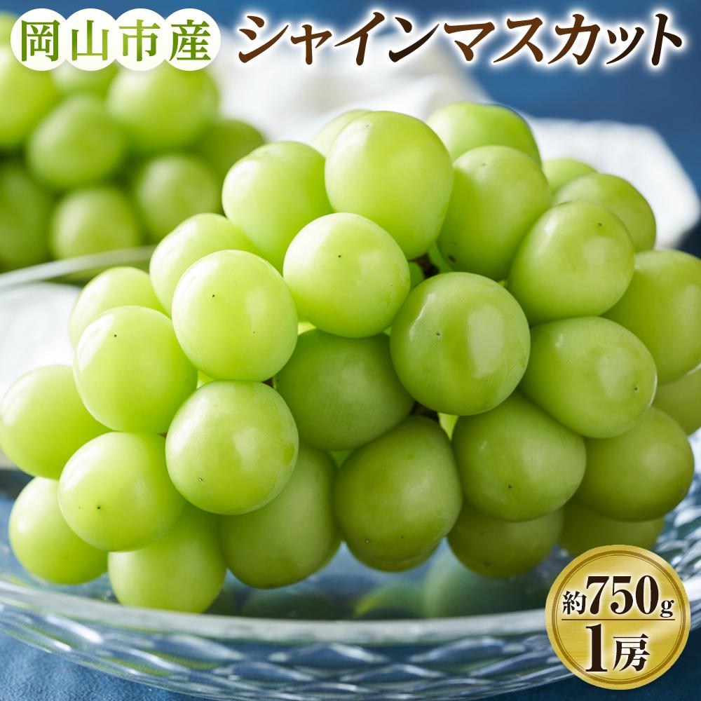 【ふるさと納税】ぶどう 2026年 シャインマスカット 1房（約750g） ブドウ 葡萄 岡山市産 国産 フルーツ 果物 ギフトタンポポ農園 | フルーツ 果物 くだもの 食品 人気 おすすめ 送料無料