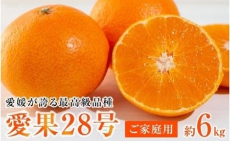 【先行予約】【2025年12月上旬から順次発送】愛媛が誇る最高級柑橘【愛果28号】ご家庭用6kg(30個前後)　あいか ご家庭用 みかん 数量限定 みかん 愛媛県産 みかん 愛果28号 松山市 みかん 愛果28号 みかん 蜜柑 愛果28号 ミカン みかん 旬 愛果28号 愛媛県 松山市【AB0022】