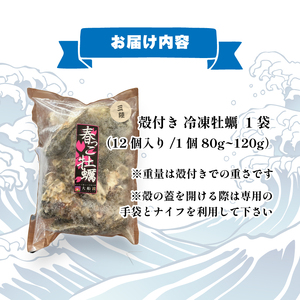 生食可 冷凍牡蠣 12個 殻付き牡蠣