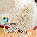 【ふるさと納税】『令和6年産』宮城県白石産 ササニシキ玄米 10kg 10キロ 10キロ 10kg お米 米 定期 ササニシキ 玄米 宮城米 ふるさと納税 宮城県 白石市 白石【1215301】