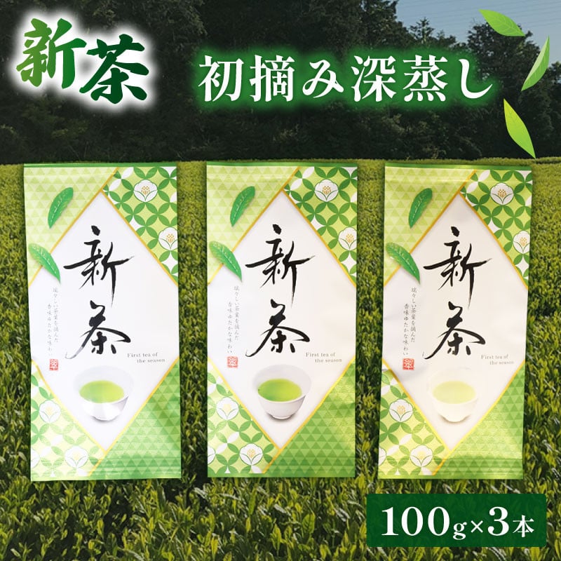 
            新茶 100g × 3本セット 初摘み 深蒸し 煎茶 緑茶 お茶 ギフト 贈答  茶葉 常温 保存 便利 お試し 静岡 沼津 母の日 父の日
          