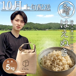 SA2675　10月上旬配送／令和7年産【玄米】はえぬき　5kg 農家直送 HO