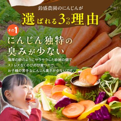 ふるさと納税 碧南市 〈予約受付〉【期間限定】鈴盛農園の甘〜いにんじんスウィートキャロットリリィ 5kg H022-013 |  | 01