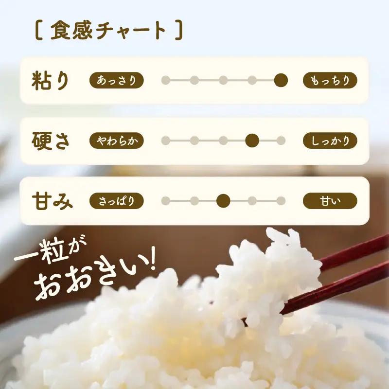【先行予約】【令和8年産】定期便《6ヶ月連続お届け》精米 にこまる 5kg（計30kg）＜低農薬栽培＞ ／ 高品質 鮮度抜群 福井県 あわら市産 ブランド米 白米 お米 米 ※2026年10月中旬より