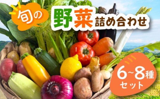 宮若産 旬の野菜詰め合わせ詰め合わせ 6?8種セット [M1018] 季節 野菜 果物 詰め合わせ 九州 福岡 宮若市 ふるさと納税 おすすめ
