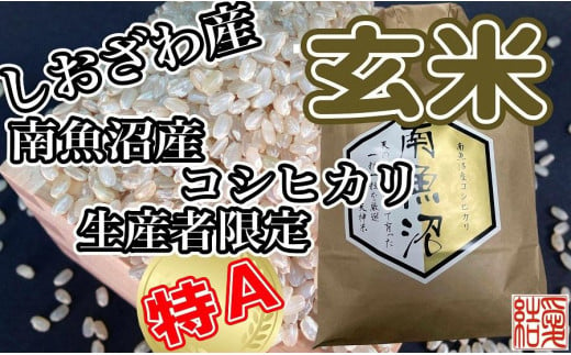 【定期便】玄米 南魚沼しおざわ産コシヒカリ2Kg×12ヶ月