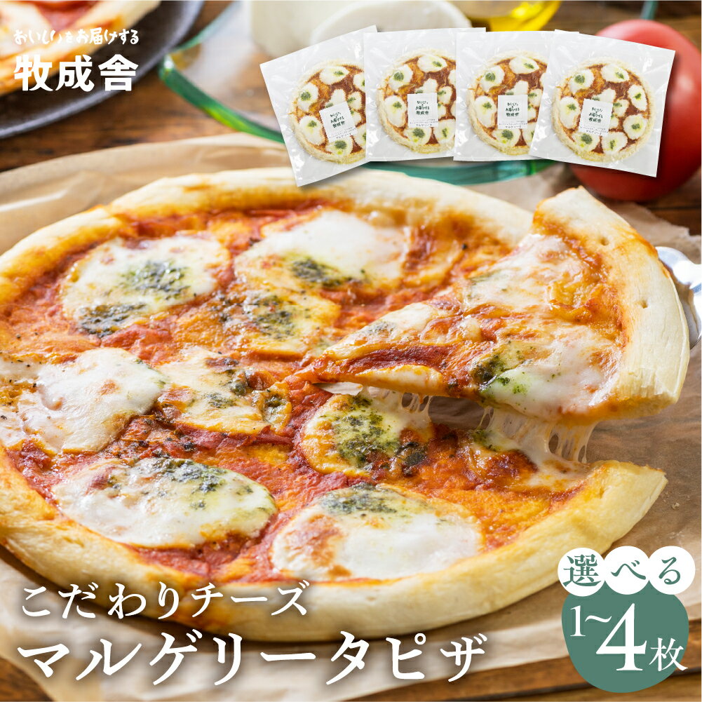 【ふるさと納税】《枚数が選べる》牧成舎 ピザ マルゲリータ 直径24cm ミニピザ お試し 2枚セット 4枚セット モッツァレラチー ズ たっぷり ピザ 自家製チーズ 冷凍 ピッツァ 惣菜 常備 パーティー 選べる 特典 [Q1682] 飛騨市 6000円 8000円 1万円 2万円