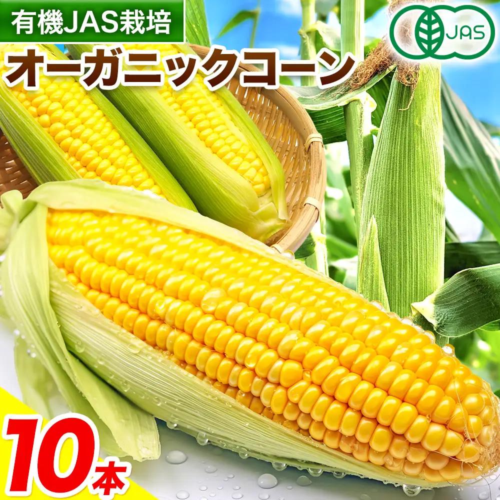 北海道産 オーガニック とうもろこし 10本 伊場ファーム 
