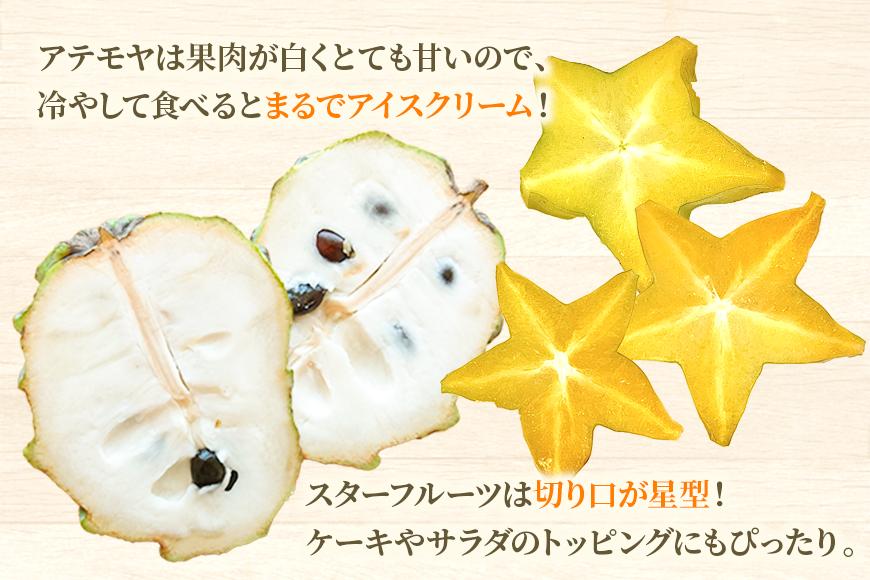 宮古島産　南国フルーツセット（アテモヤ2個、スターフルーツ1個）（CV08）