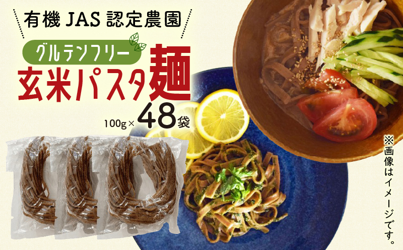 有機グアバ農園のグルテンフリー玄米パスタ麺 100g×48袋セット【グルテン フリー ダイエット 健康 食品 人気 おすすめ 高知県 南国市】