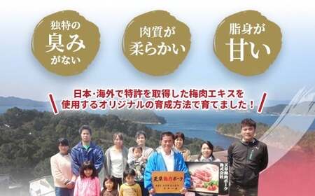 （飼育期間中）完全無薬！ 梅肉エキス肥育 熊本県産 天草梅肉ポーク 豚肩スライス 1.5kg 500g×3パック 肉 お肉 豚肉 豚肩肉 肩肉 肩ロース肉 肩ロース ロース 冷凍 熊本県 上天草市