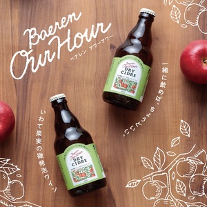 ベアレン ドライシードル12本＆缶ビール×6本＆瓶ビール×6本(計12本) 飲み比べセット 計24本 (AT038)