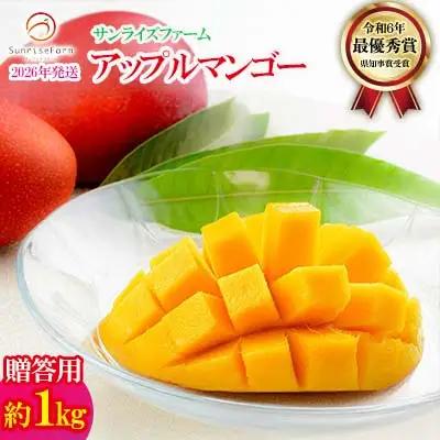 マンゴー【2026年発送】令和6年最優秀賞サンライズファーム マンゴー贈答用 約1kg