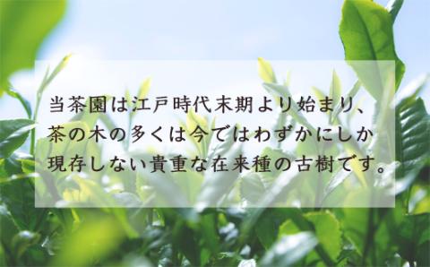 楠森堂 実生在来茶「逸品煎茶80g・蔵出し煎茶80g」セット 2024年11月から順次お届け