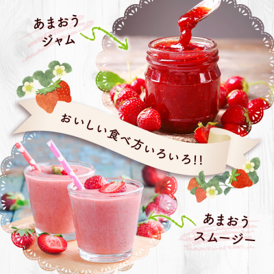 【12月より順次発送】福岡県産 あまおう 500g(250g×2パック)(筑後市)【配送不可地域：離島】