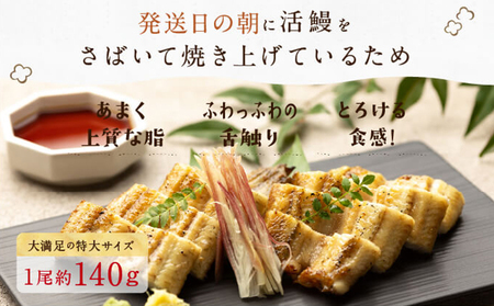 うなぎ 朝じめ 溶岩焼き 白焼き 2尾 土用の丑の日 うなぎ