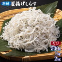 【ふるさと納税】新鮮 釜揚げしらす 合計 500g / 1kg / 2kg 小分け 各 250g 保存料 添加物 不使用 しらす 新鮮なしらす 急速冷凍 シラス本来の旨味 お取り寄せ お取り寄せグルメ しらす丼 サラダ パスタ 栄養 大阪府 泉佐野市 送料無料