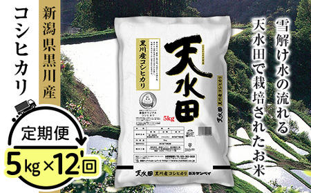 27-5ZD【12ヶ月連続お届け】新潟県黒川産コシヒカリ5kg【天水田】