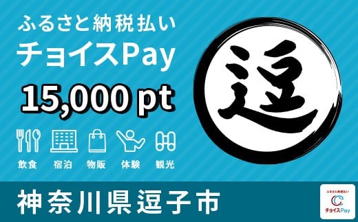 
            [№5875-0858]逗子市チョイスPay 15,000ポイント【会員限定のお礼の品】
          