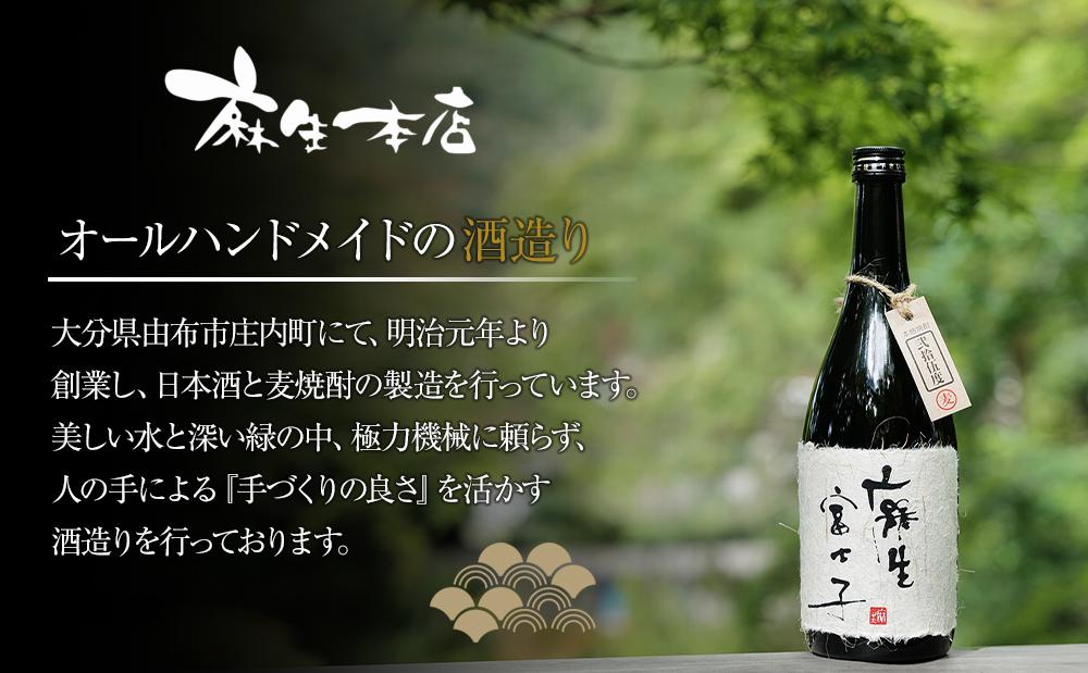 蔵元直送！豊後富士 純米吟醸 720ml×2本 日本酒 セット＜麻生本店＞