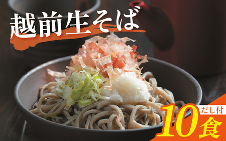 越前生そば 10食入（110g/1食）だし付 [A-067002] / そば そば