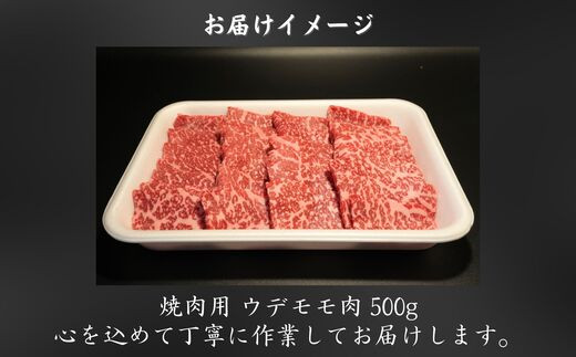 画像はイメージです。実際のお届けは500g。本返礼品は真空パックでお届け致します。