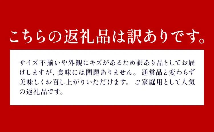 【3ヶ月定期便】 訳あり 温州みかん 約8kg 日本フルーツ株式会社 熊本県 荒尾市 《10月上旬-12月末頃出荷》 デコポン 果物 フルーツ スイーツ デザート