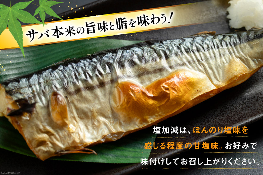 訳あり 塩サバ フィレ 2kg [足利本店 宮城県 気仙沼市 20565167] 魚介類 魚 海鮮 大容量 サバ さば 鯖 塩分控えめ サバフィレ サバフィーレ 鯖フィレ 塩サバフィレ 切り身 冷凍 