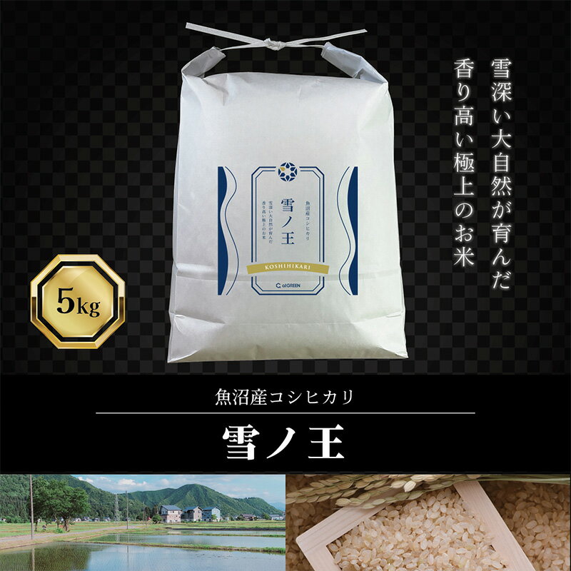 【ふるさと納税】令和7年産 魚沼産コシヒカリ 雪ノ王 精米 5kg 米 お米 精米 こしひかり 魚沼 新潟　お届け：寄附入金確認後、約2週間～1ヶ月ほどでお届けとなります