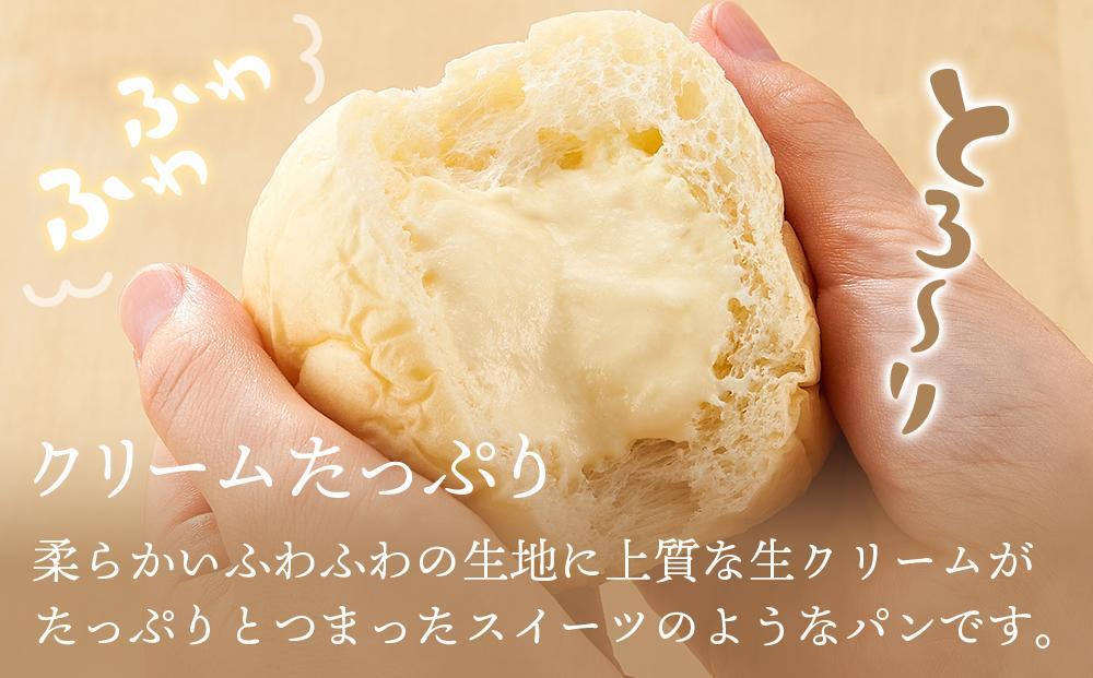 【定期便全6回】＜究極のふわとろ食感＞清水屋 生クリームパン 12個 3種（カスタード・生クリーム・チョコ）